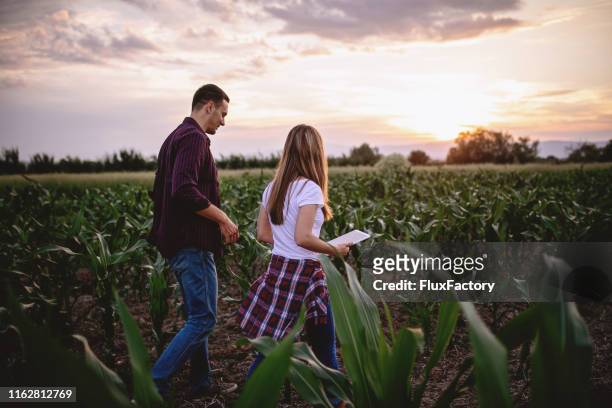 jong stel gegevens verzamelen in een agrarisch veld - rural couple young stockfoto's en -beelden