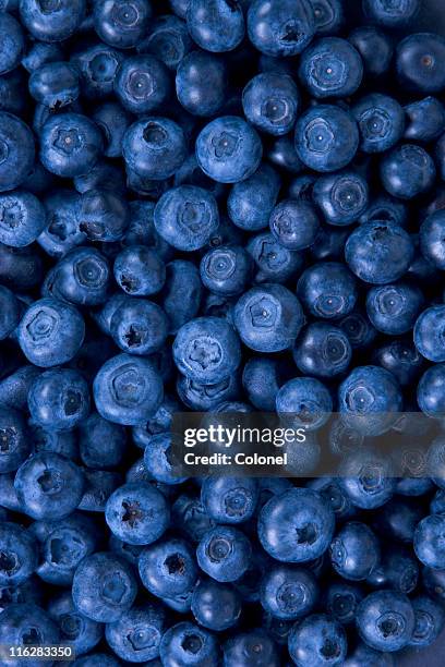 arándanos - arándano fotografías e imágenes de stock