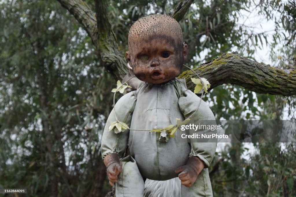 The Terrifying Island Of The Dolls In Mexico CIty