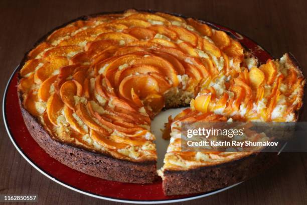 summer pleasures - homemade apricot tart - crostata di frutta foto e immagini stock