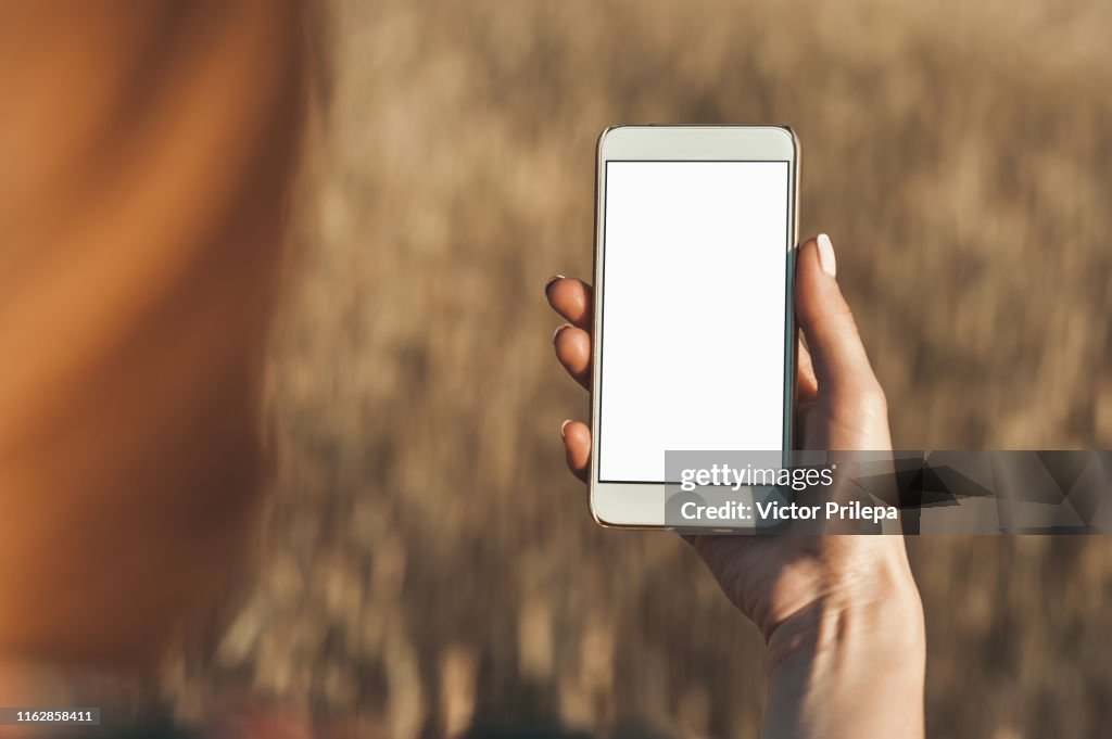 Mock up of the smartphone in the hand of the girl, on the background of the field.