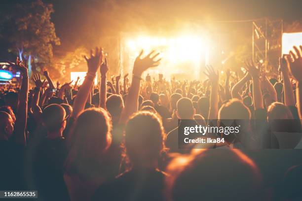 mensen die plezier hebben op een concert - dj stockfoto's en -beelden