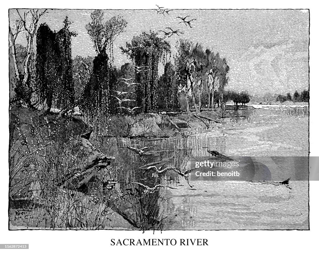 Sacramento River