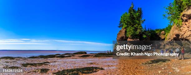 hopewell rocks site in new brunswick, canada - new brunswick canada 個照片及圖片檔