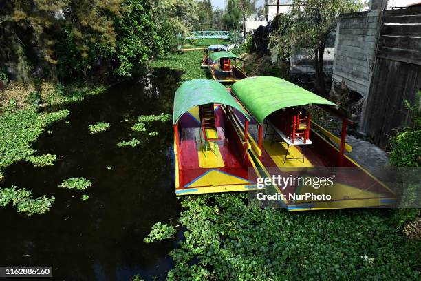 Trajinera is seen stranded on the Xochimilco River on August 19, 2019 in Mexico City, Mexico.