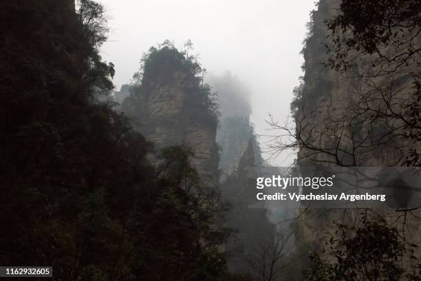 the peaks of wulingyuan, world of pandora, hunan, china - pandora peaks stock-fotos und bilder