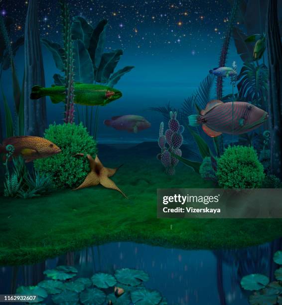 Land Fish Magic A Magic Fish Photos and Premium High Res Pictures - Getty Images