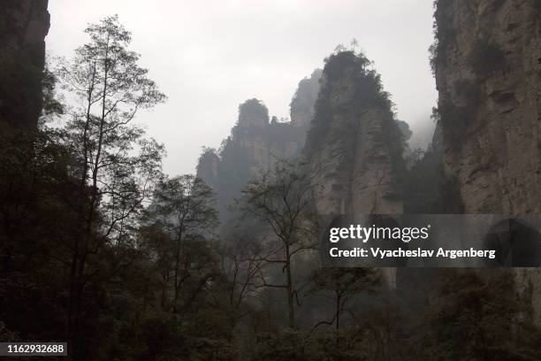 the peaks of wulingyuan, world of pandora planet, hunan, china - pandora peaks stockfoto's en -beelden