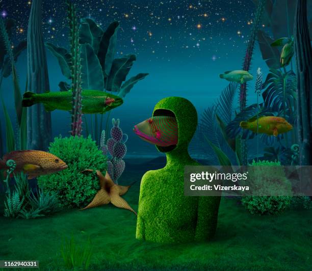 privacy - surrealism stock pictures, royalty-free photos & images