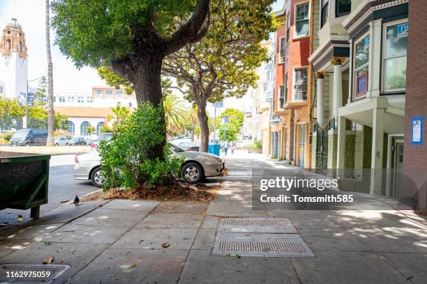 Delores Reeed 48 Delores Park Stock Photos, High-Res Pictures, and Images - Getty Images