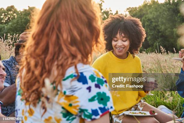 group of friends relaxing outside on a warm summers evening - picnic friends ストックフォトと画像