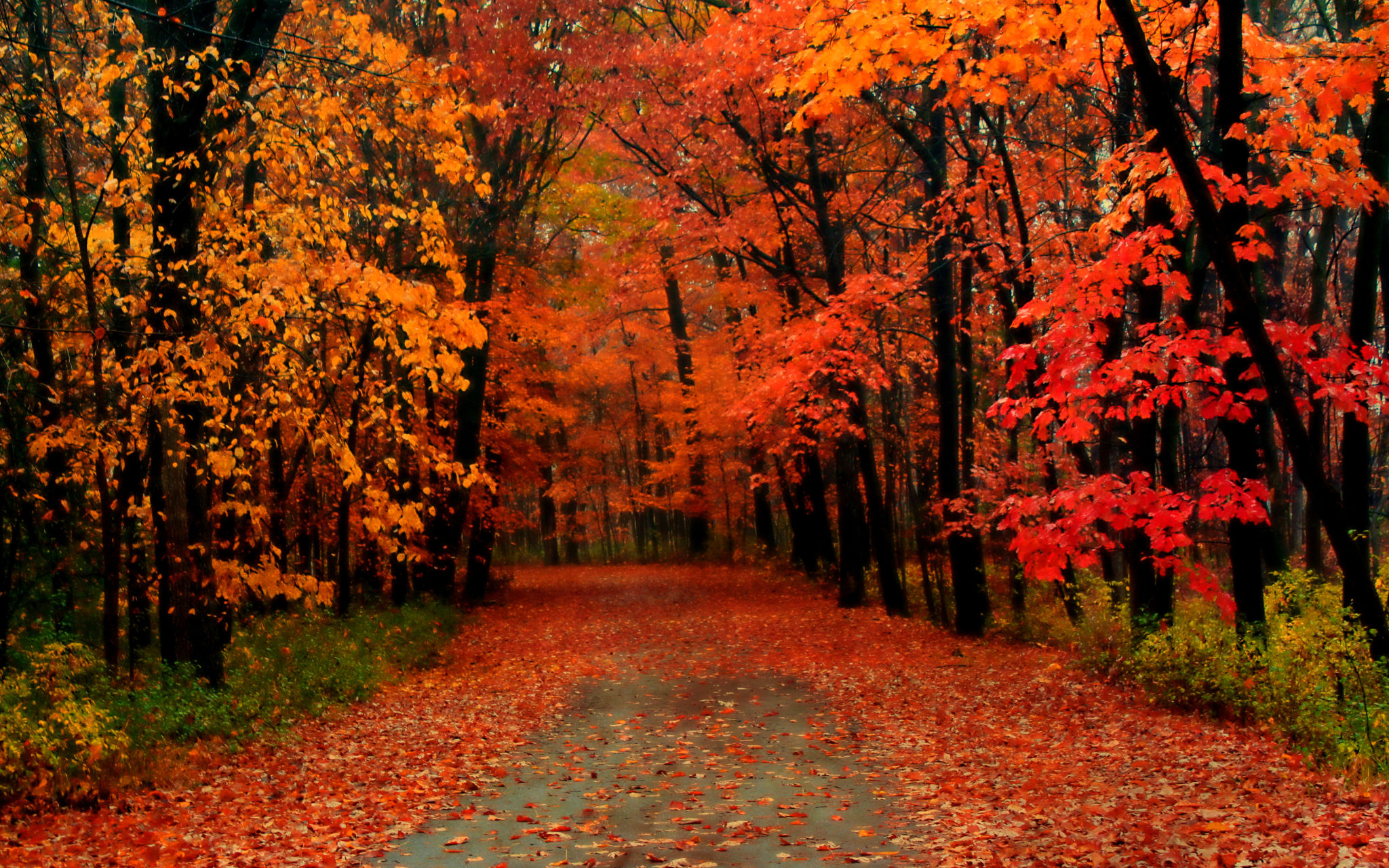 Michigan seasons