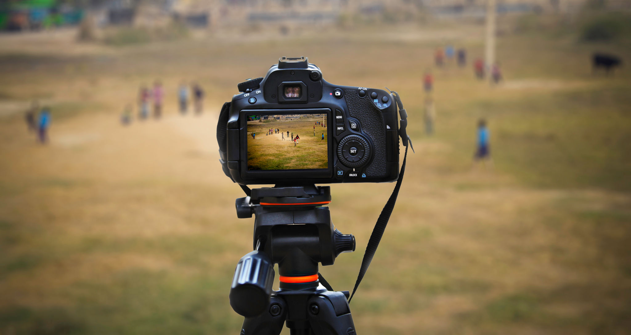 local photographer