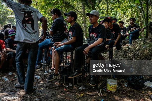 Dog handlers sit around dog cages during a fight contest between dogs and captured wild boars on August 18, 2019 in Majalengka, West Java province,...