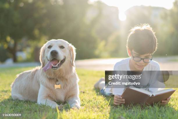 schoolboy reading book with her dog - information equipment stock pictures, royalty-free photos & images