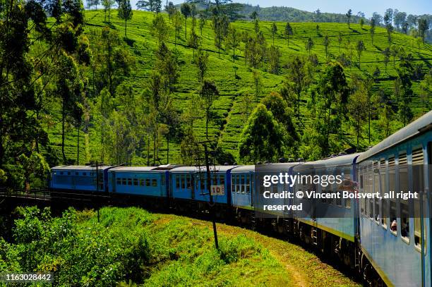 close-up view of the tea plantation train in haputale, sri lanka - nuwara eliya stock pictures, royalty-free photos & images