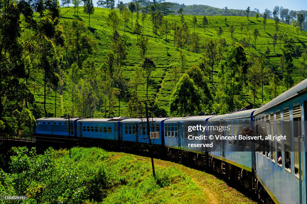 Close-up view of the tea plantation train in haputale, sri lanka