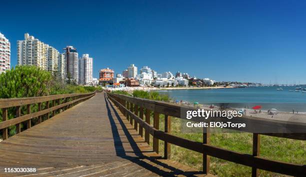 view of mansa beach, boardwalk, in punta del este city, uruguay - maldonado uruguay foto e immagini stock
