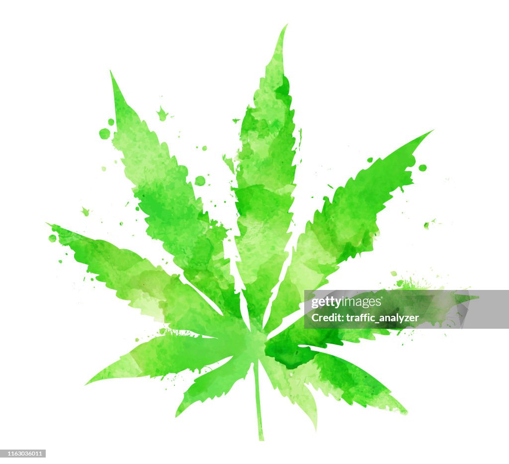 Akvarell marijuana Leaf
