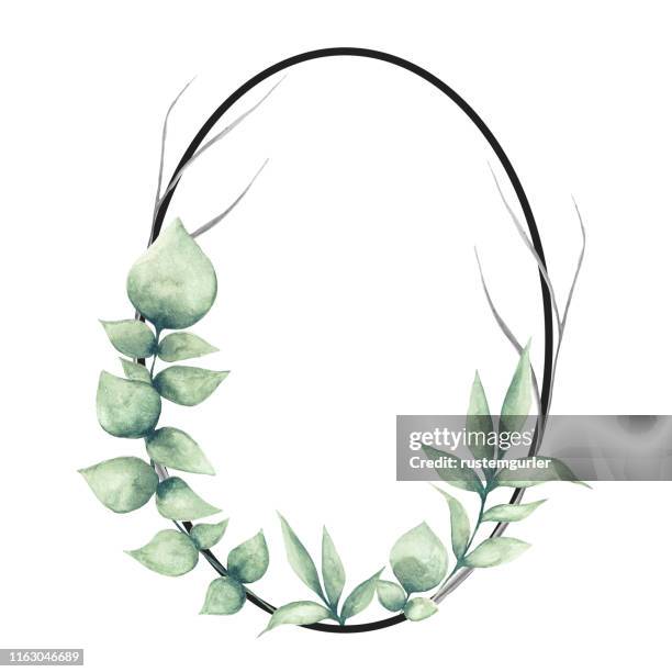 floral frame with watercolor tropical leaves - eucalyptus flower stock illustrations