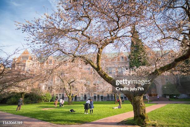 Uw Spring 177 University Of Washington Quad Stock Photos, High-Res Pictures, and ...