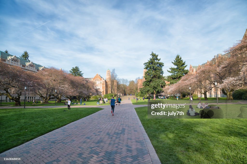 Uw Spring Spring Campus In The Quad University Of Washington High-Res Stock Photo ...