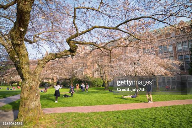 Uw Spring 177 University Of Washington Quad Stock Photos, High-Res Pictures, and ...