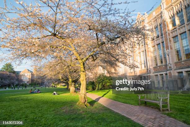 Uw Spring 177 University Of Washington Quad Stock Photos, High-Res Pictures, and ...