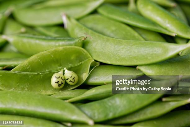 two peas in a pod - 2 peas in a pod stock pictures, royalty-free photos & images