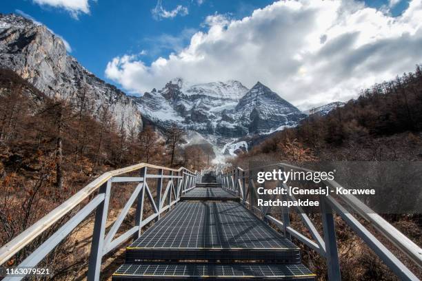 a walk way in yading natural park with the beautiful high mountain in the background - heaven stairs stock pictures, royalty-free photos & images