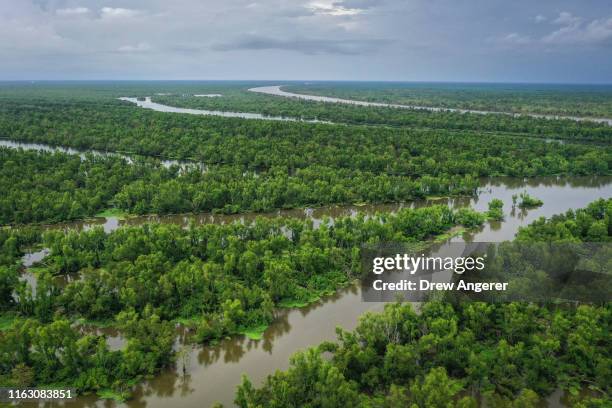 The Atchafalaya River runs through the Atchafalaya Basin, the largest wetland and swamp in the United States, on August 21, 2019 in Charenton,...