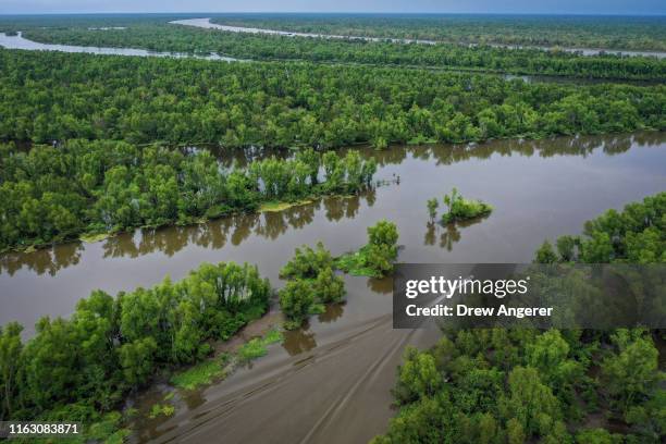 Boat makes its way along the Atchafalaya River in the Atchafalaya Basin, the largest wetland and swamp in the United States, on August 21, 2019 in...