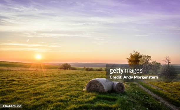 hay bale at the sunset - saxony stock pictures, royalty-free photos & images