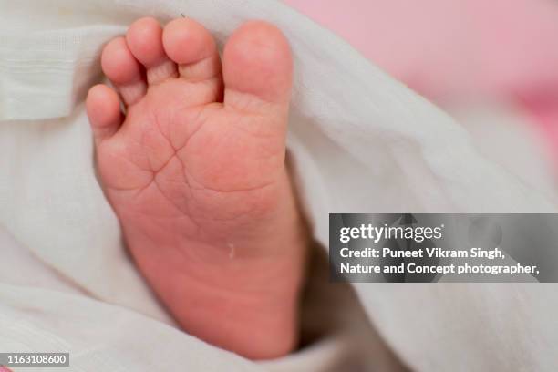 new born baby feet - indian female feet foto e immagini stock