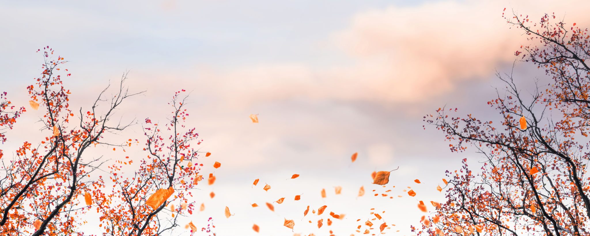 autumn leaves music