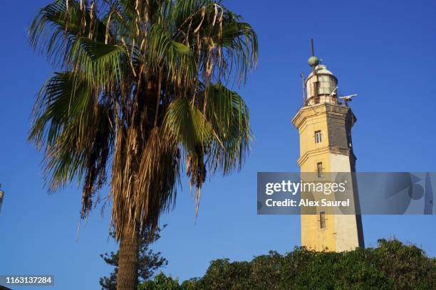 lighthouse, port said, egypt - port said stock pictures, royalty-free photos & images