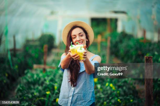 female gardener picking fresh organic - local producer stock pictures, royalty-free photos & images