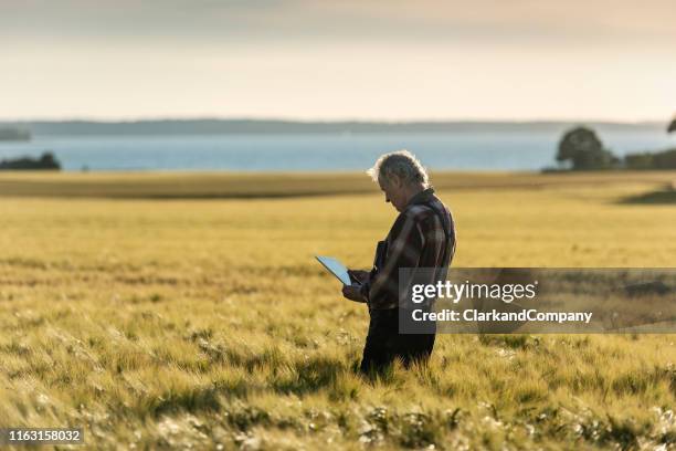 farmer using technology to monitor his crops. - summer denmark stock pictures, royalty-free photos & images