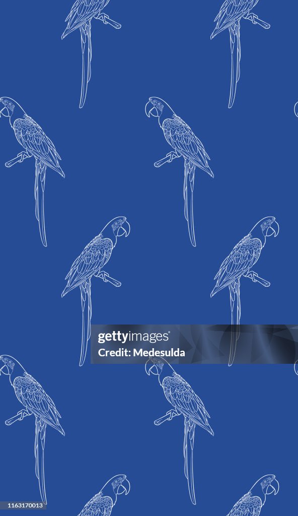 Parrot Pattern Body Seamless Pattern Parrot High-Res Vector Graphic - Getty Images