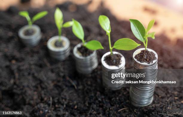 small plants that are on stacked coins and ideas for saving money and increasing business profits - agricultural policy stock pictures, royalty-free photos & images