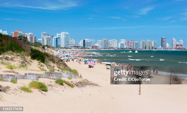 view of beach in punta del este city, uruguay - punta del este stock-fotos und bilder