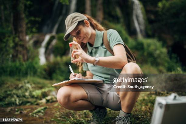 biologist taking a water sample - wildlife research stock pictures, royalty-free photos & images