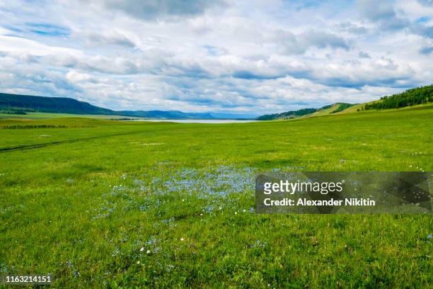 lake in the foothills of the sayan mountains - grass area stock pictures, royalty-free photos & images