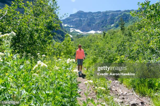 athletic female model on mount timpanogos trail hike in the middle of summer - mt timpanogos stock pictures, royalty-free photos & images