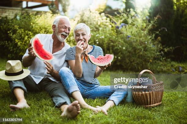 cheerful senior couple having fun while eating watermelon in the backyard. - watermelon picnic stock pictures, royalty-free photos & images