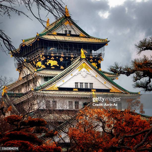 osaka castle - azrin az bildbanksfoton och bilder