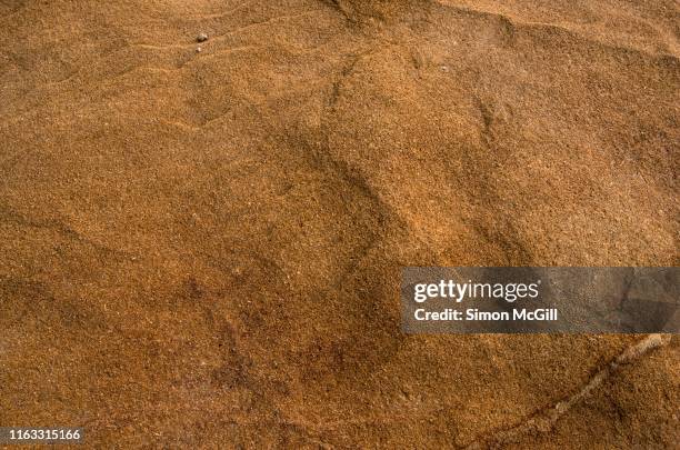 surface of a sandstone rock - grès photos et images de collection