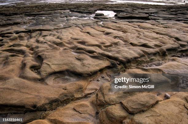 eroded rock platform at low tide on aldinga beach, south australia, australia - sandstone stock pictures, royalty-free photos & images