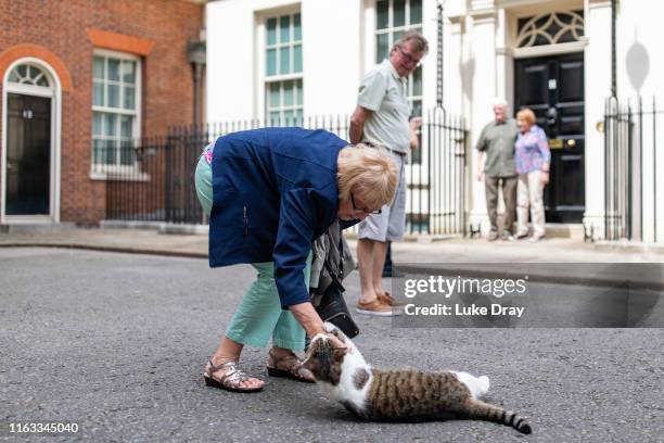 Visitor to Downing Street is scratched as she strokes Larry, the resident Number 10 Cat, on July 21, 2019 in London, England.