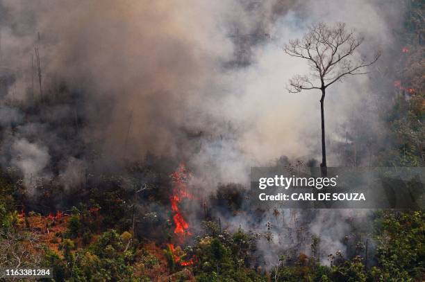 Aerial picture showing a fire raging in the Amazon rainforest about 65 km from Porto Velho, in the state of Rondonia, in northern Brazil, on August...